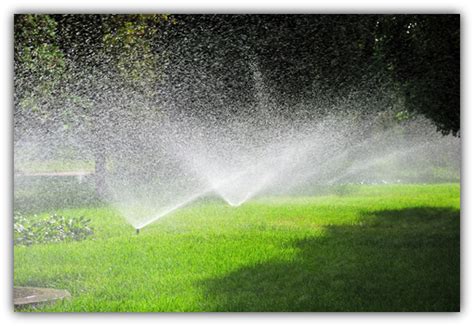 The heat drains the soil, and there's not enough water that the grass needs. Inman Sod