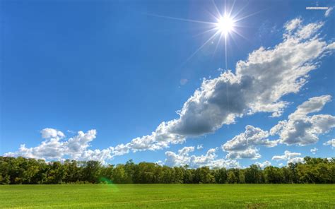 Image Result For Day Sky Sunny Pictures Landscape Wallpaper Tree