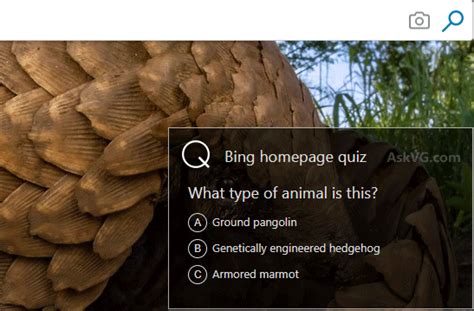 Fix Bing Homepage Quiz Not Working In My Web Browser Askvg