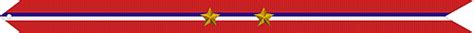 Military Guidon Campaign Battle And Custom Streamers Richard R