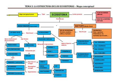 Mapa Conceptual La Estructura De Los Ecosistemas