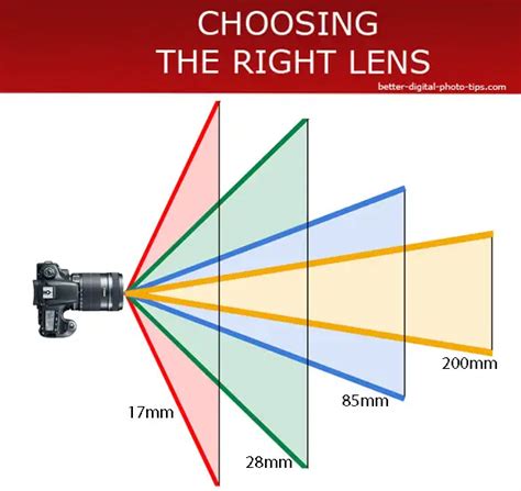 Camera Lens Basics Ultimate Guide To Understanding Camera Lenses