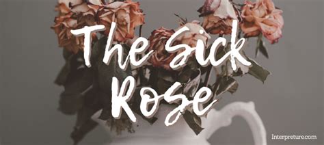 تحلیل شعر The Sick Rose Shaer Blog