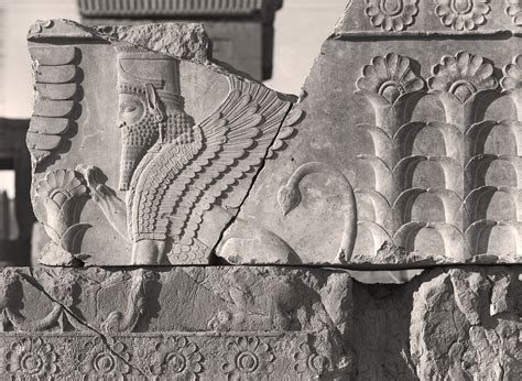 Timely Reminders In Timeless Ruins A Review Of Persepolis Images Of