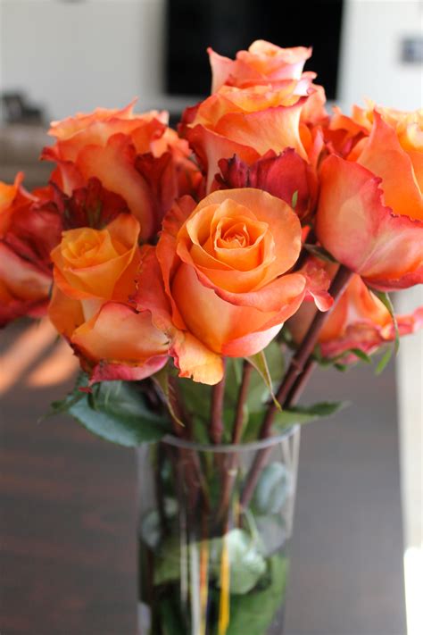 Apr 29, 2020 12:33 pm edt. The Bouqs Flower Review - Simply Clarke