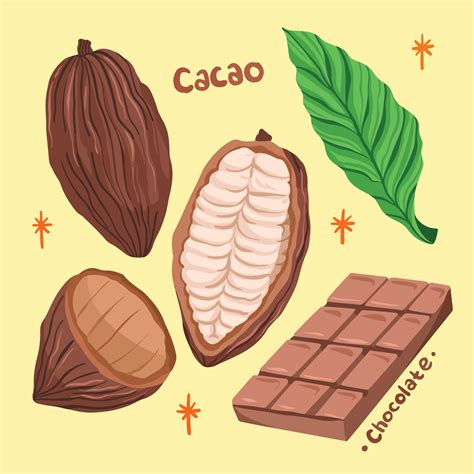 Cacao Chocolate Partes Completas Fruta Hoja Y Barra Vector Ilustración