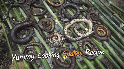 Yummy Cooking Snake Recipe Rural Cooking Youtube