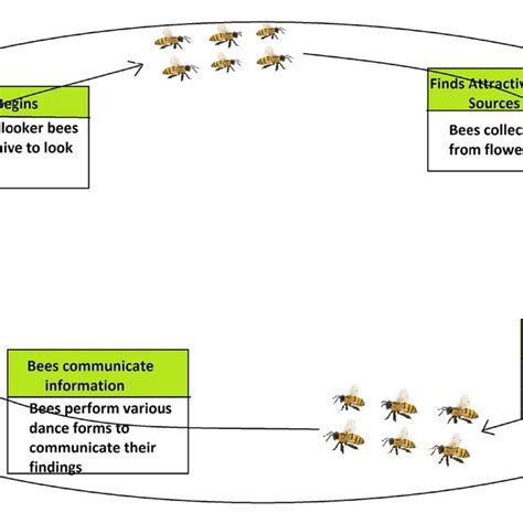 Social Behavior Of Honey Bees Download Scientific Diagram