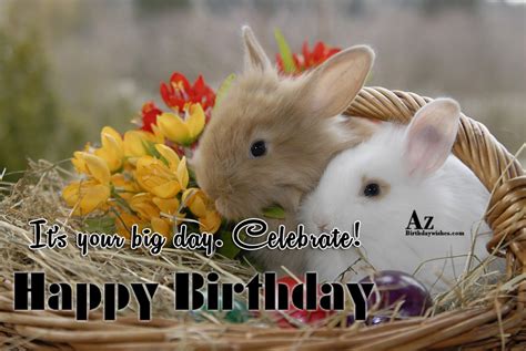 Birthday Wishes With Rabbit Birthday Images Pictures
