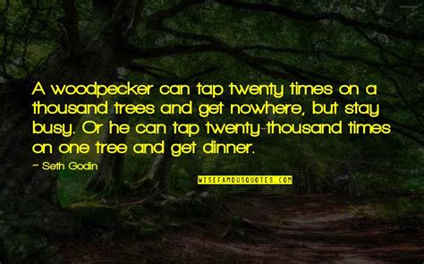 Woodpecker Quotes Top 13 Famous Quotes About Woodpecker