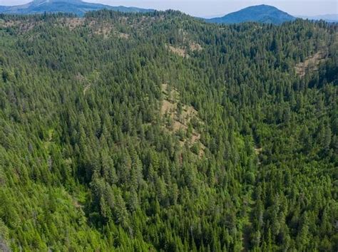 View sales history, tax history, home value estimates, and overhead views. Loon Lake Real Estate - Loon Lake WA Homes For Sale | Zillow