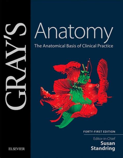 gray s anatomy e book the anatomical basis of clinical practice by susan standring phd dsc