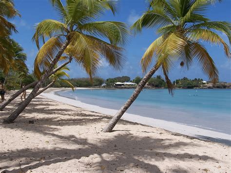 Les Trois Îlets Martinique Quoi Visiter Et Que Faire