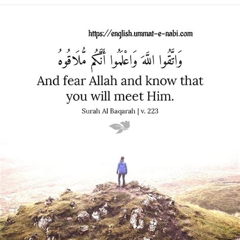 And Fear Allah English Ummat E