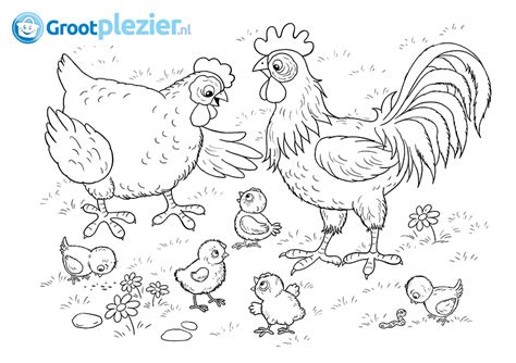 De eerste kleurplaat van biba boerderij (1)! Kip kleurplaat