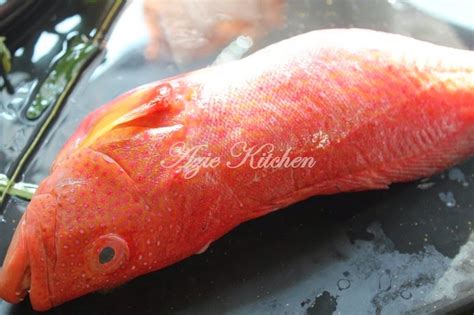 1.146 resep ikan kerapu ala rumahan yang mudah dan enak dari komunitas memasak terbesar dunia! Ikan Kerapu Bara Goreng Halia Dan Bawang Putih - Azie Kitchen