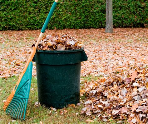 Preparing Your Lawn And Landscaping For Winter Superior Lawn Care