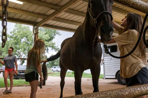 Shortys Safe Haven Rehab And Rescue In Foley Provides Space To Grow