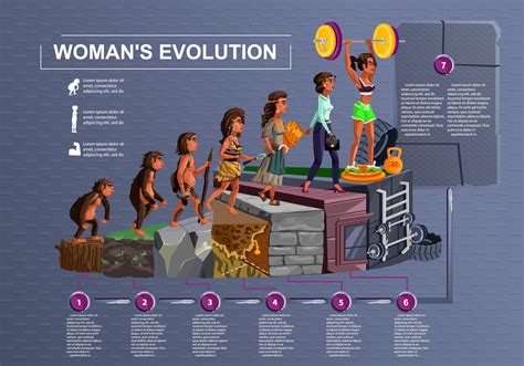 Desenhos Animados De Vetor De Linha De Tempo De Evolução De Mulher