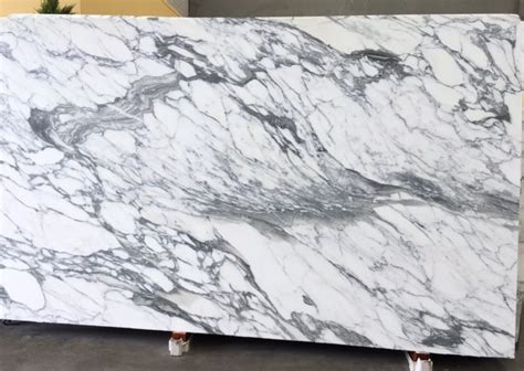 Arabescato Corchia Marble Marable Slab House Sydney