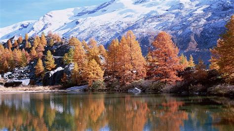 Wallpaper Mountains Autumn Trees Reflection Lake Sun Hd Picture
