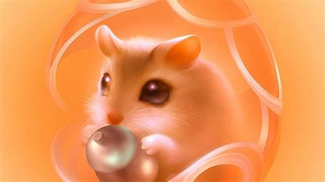 50 Hamster Hq Hd Wallpaper Wallpapersafari