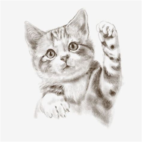 Gambar Lukisan Garis Kucing Kucing Comel Hiasan Kucing Kucing Comel