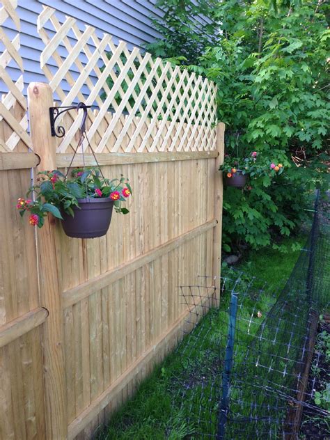 Add Lattice And Hanging Plants To Your Fence Super Cheap And Beautiful