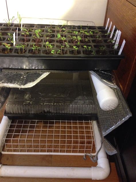 Since i already had a 24″ grow light fixture, we went with that. Easy DIY PVC Grow Light Stand for Indoor Plants | GardensAll