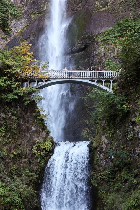 Free Stock Photo Of Bridgeat Multnomah Falls Pacific Northwest Oregon
