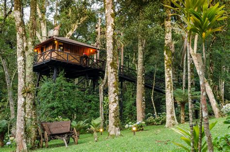 Intip 7 Gaya Desain Rumah Pohon yang Kekinian dan Unik — Courtina