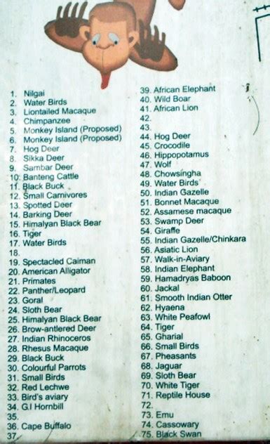 1280 x 720 jpeg 39 кб. New Delhi Zoo | A List Of Animals Which Are Living in the ...