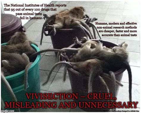 Vivisection - Imgflip