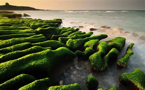 Wallpaper Sunlight Landscape Sea Water Rock Nature Grass Moss