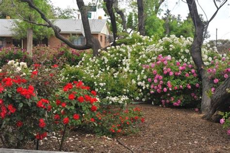 It can be as elaborate as a formal landscape embellished with hardscaping, arbors, seating, and statuary. the modern house garden: albuquerque rose garden