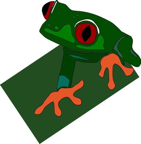 Red Eyed Frog Clip Art At Vector Clip Art Online Royalty