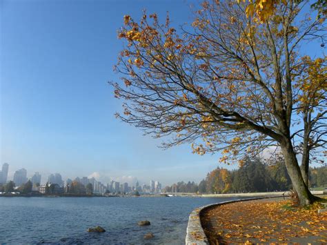 Stanley Park In Fall By Greent On Deviantart