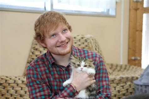 Ed Loves Kittens Ed Sheeran Love Ed Sheeran Cats