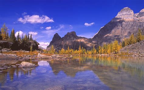 Yoho National Park British Columbia Canada Forest Trees Clouds Lake
