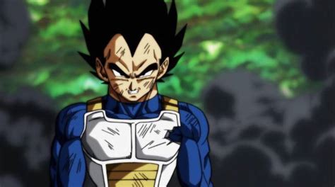 The content will shed a little light on previously unexplored topics having to do with. Vegeta Fans Have A Big Beef With 'Dragon Ball Super' Right Now