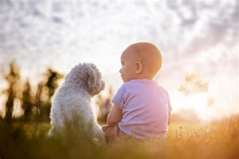 Babies And Pets A Guide For New Parents