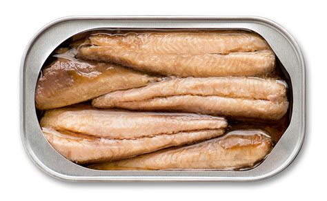 Select canned tuna packed in water, not canned tuna in oil or canned tuna with added salt or other flavorings. Sardine Fish Indonesia and Reasons of Why You Need to Eat ...