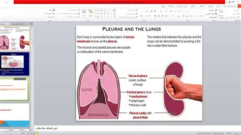 Respiratory Session 3 Lecture 1 Part 1 Youtube