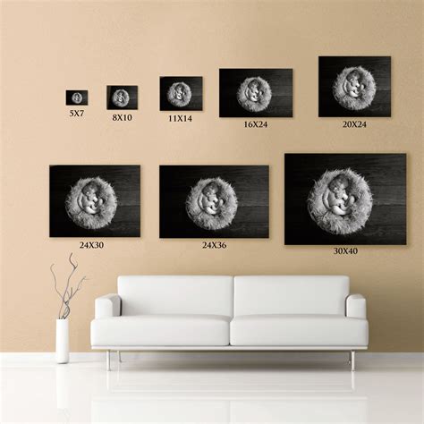 X 7.6ft x.75ft (396cm x 223cm x 23cm). Photo Displays 2 | Photo displays, Photographing babies ...