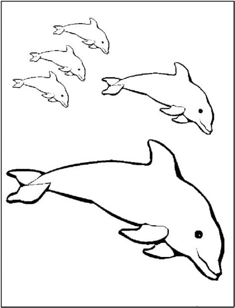 Print Dolphins Coloring Page Free Printable Coloring Pages For Kids