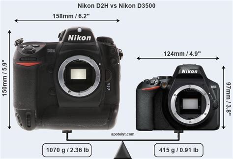 Nikon D2h Vs Nikon D3500 Comparison Review