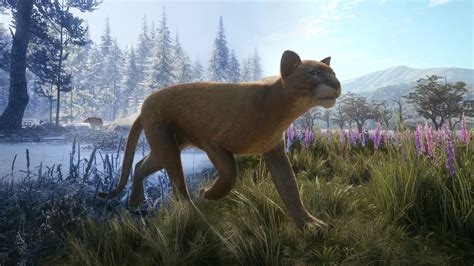 This may make getting close to these animals quite difficult even to an experienced click on the reserve icon on the interactive map to get directed to the wiki page of the respective reserve Buy theHunter™: Call of the Wild - Reserve Bundle cheap ...