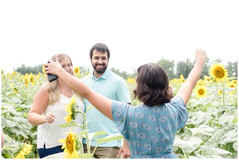 Sunflower Field Proposal