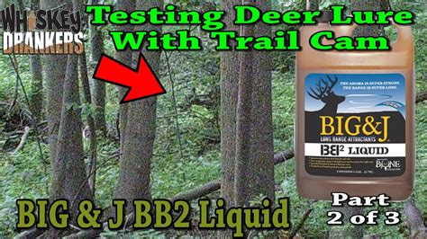 Deer don't just stumble on bb2 granular™, they smell it from a distance. Testing Deer Lure Ep 2 - Big & J BB2 Liquid - YouTube