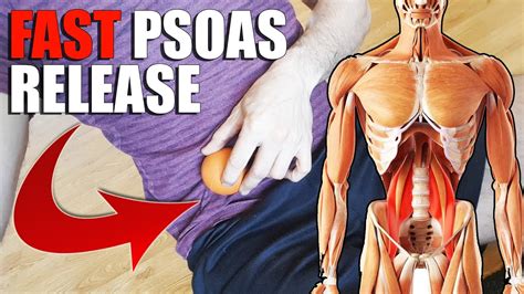 Psoas Muscle Release Stretch For Tight Hip Flexors Try This Youtube